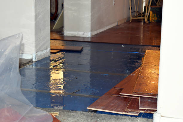 Professional Basement Flood Cleanup technician working in Lake George, CO